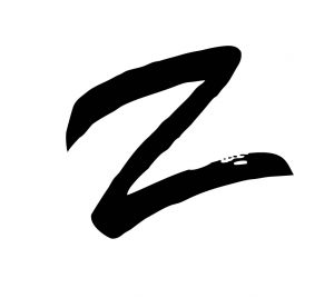 ZPS District Z logo